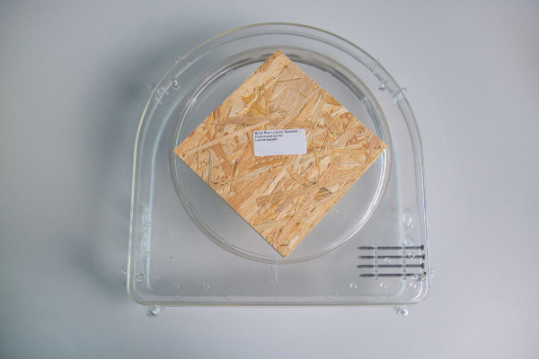 Boite d'encastrement béton pour Loxone speaker